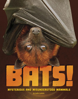Bats